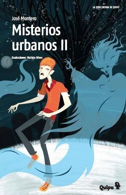 MISTERIOS URBANOS 2 (SERIE NEGRA)