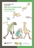 QUE ES (Y QUE NO ES) EVOLUCION