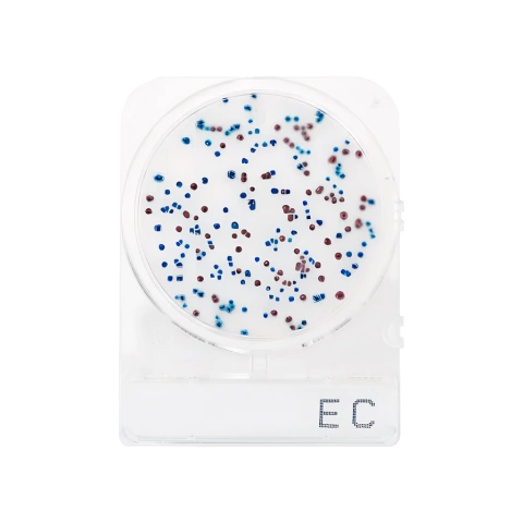 Compact Dry EC Coliformes e E. Coli (4 Unidades)