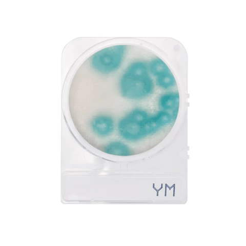 Compact Dry YM Bolores e Leveduras (4 Unidades)