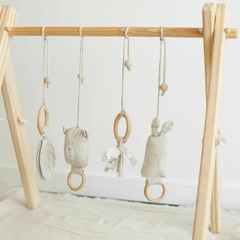 Baby Gym en internet