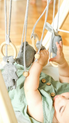 Baby Gym