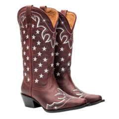 Western Feminina - Fóssil Marsala / Estrelas Vegas na internet