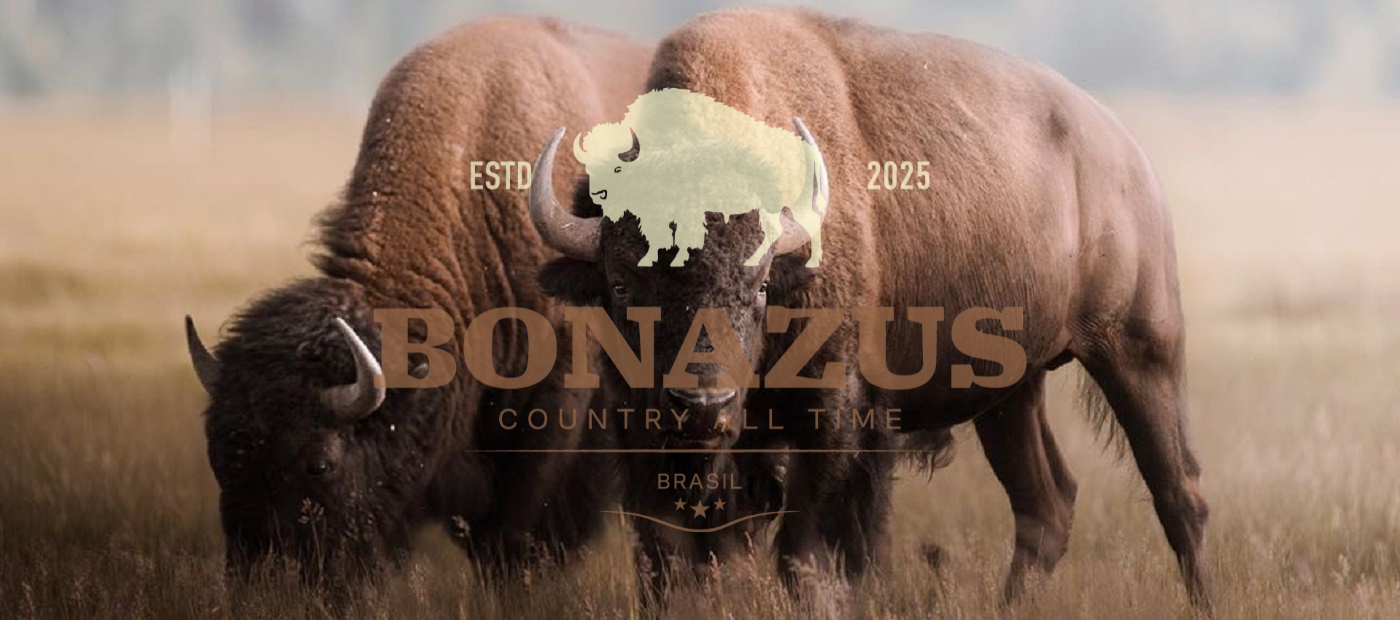 Carrusel Bonazus | Country All Time