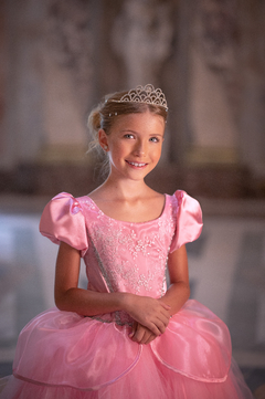 Vestido Cenicienta Rosa en internet