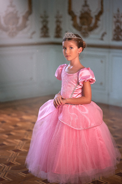 Vestido Cenicienta Rosa - comprar online
