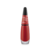ESMALTE JU PAES - IMPALA - Pink Pot Plant Brasil