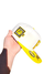 Snapback Pirates en internet
