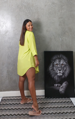 Chamise Verde Lima - comprar online