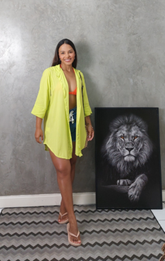 Chamise Verde Lima - comprar online