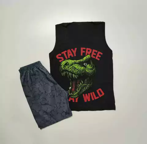 Conjunto Stay Free