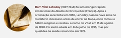 Banner da categoria Dom Vital Lehodey