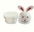 Contenedor Little Rabbit en internet