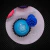 Casinha Jardim