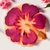 Ejetor Cute Flor de Hibisco - - Epic 3d print