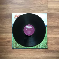 LP America – View From The Ground (1982) Importado US - Molotov Discos 