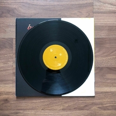 LP Bad Religion – The Process Of Belief (2002) - loja online