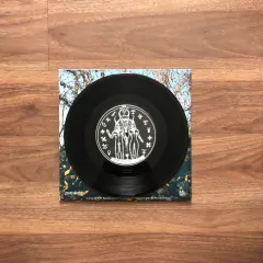 LP 7" Bode Preto – Dark Night (2013) - Molotov Discos 