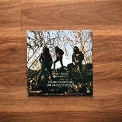 LP 7" Bode Preto – Dark Night (2013) - comprar online