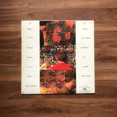 LP Os Paralamas Do Sucesso – Bora-Bora (1988) - comprar online