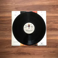 LP Os Paralamas Do Sucesso – Bora-Bora (1988) na internet