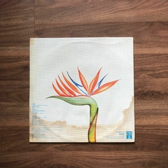 LP Clara Nunes – Nação (1982) - comprar online