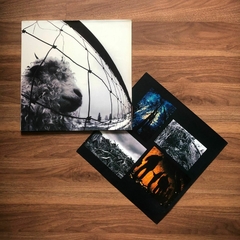 LP Pearl Jam – Vs (1993)