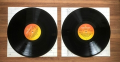 LP Pink Floyd – The Wall - Molotov Discos 