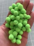 POMPOM 1CM 50 UNIDADES