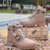 Bota Caterpillar Cuero Unisex - Worcolombia Tienda en Línea