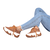 Imagen de Zapatillas Marsella