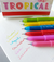 Caneta Fine Pen 0.4 Tropical c/ 6 - Faber Castell - loja online
