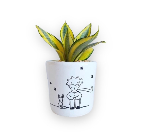 Vaso Pequeno Príncipe Tam. P