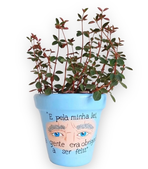 Vaso Chico Buarque