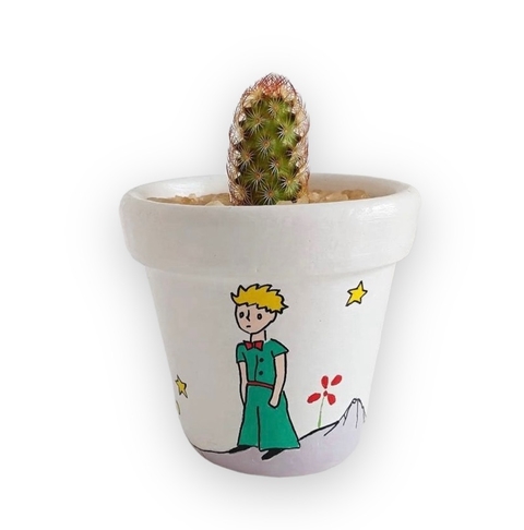 Vaso Pequeno Príncipe capa do Livro