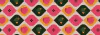 Banner de MEU VASINHO