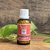 Second Brain - Floral 100% Vibracional Linha Detox
