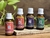 Second Brain - Floral 100% Vibracional Linha Detox na internet