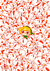 Print - Cucco Attack