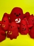 Pelúcia - Fantasma do comunismo - comprar online
