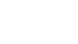 Cão Feio