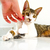 Plaquinha Coleira Pet | Resina Personalizado na internet