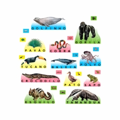 Brinquedo Soletrando Grow com Figuras de Animais na internet