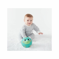 Bola Bubazoo Dino Infantil Bebê na internet