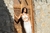 Top Argola Feminino Off White com Flor (Tamanho unico) - loja online