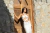Top Argola Feminino Off White com Flor (Tamanho unico) - loja online