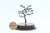 Bonsai Origami com 100 tsurus - comprar online