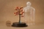 Bonsai Origami com 50 tsurus - Color plus - Amorigami 