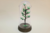 Bonsai Origami G com 17 Tsurus
