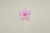 10 Topper sakura - Amorigami 